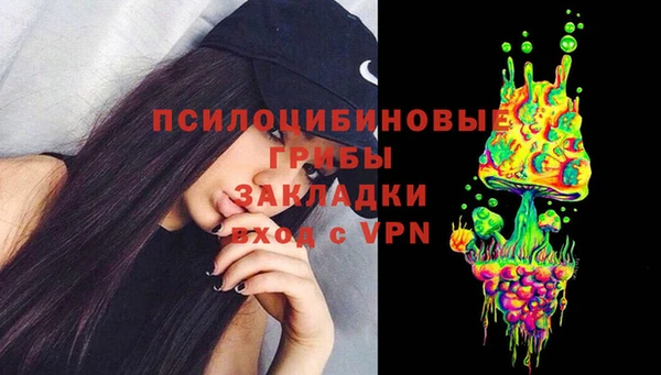 apvp Армянск